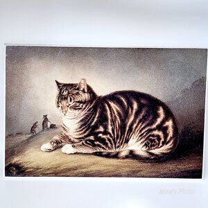 Vintage Puss Napping, 1866 by George Baxter from The Art Institute of Chicago